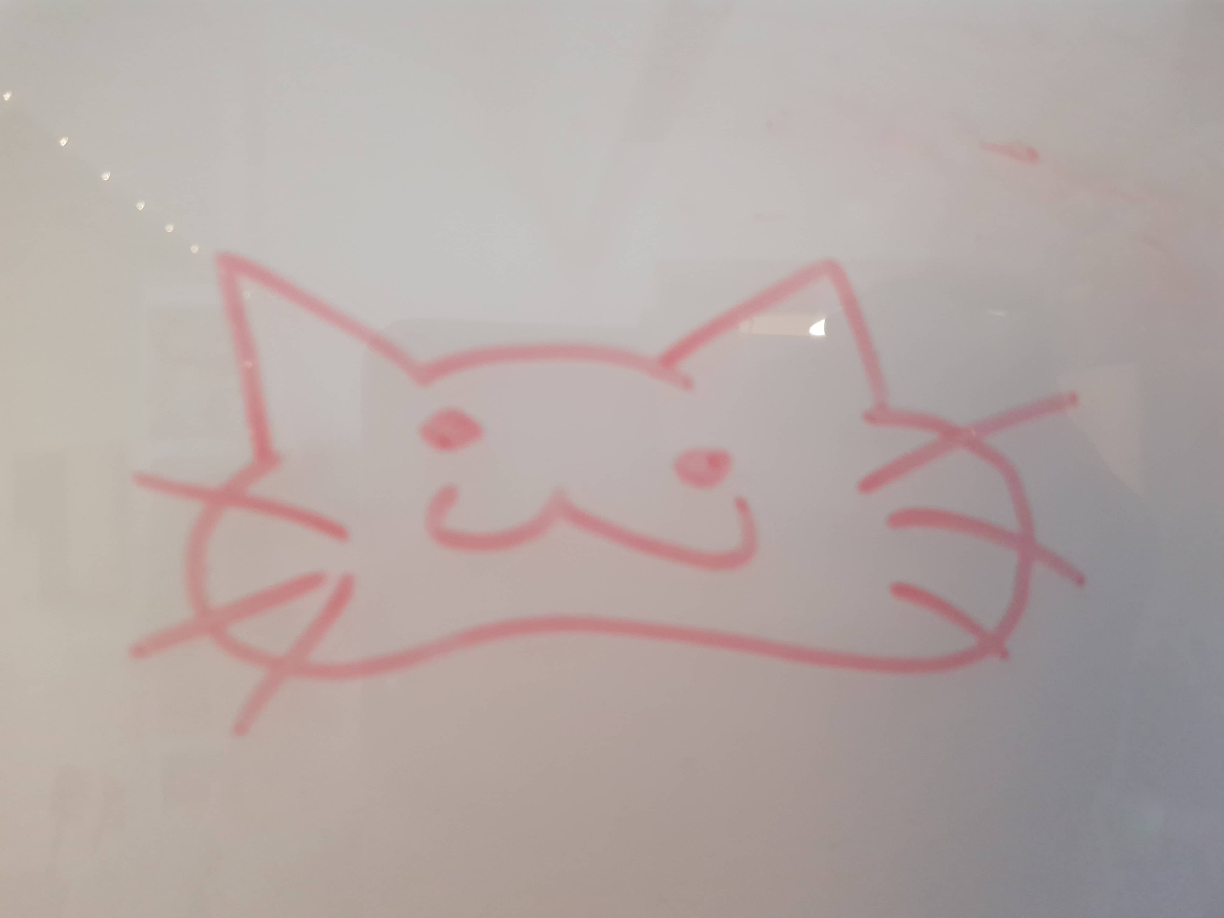 image of drawing of a blorbous cat